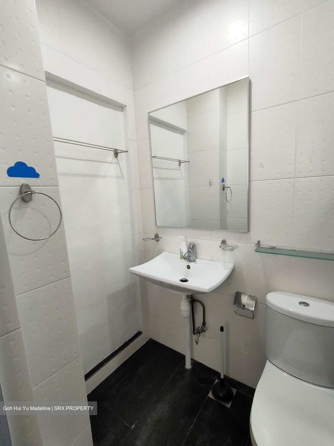 Emerald Hill Conservation Area (D9), Apartment #613360161